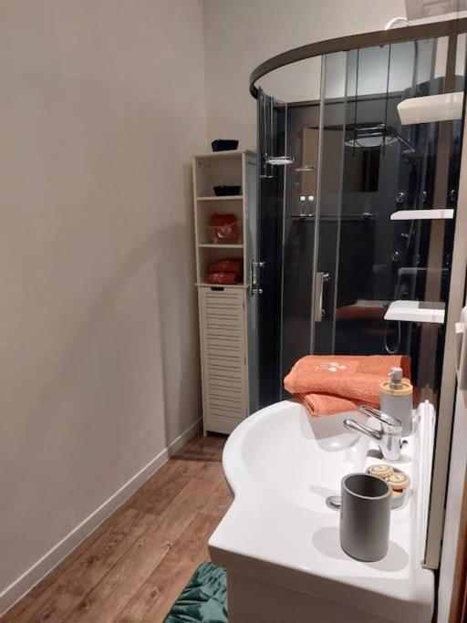 Appartement Proche Des Parcs Vichy Buitenkant foto